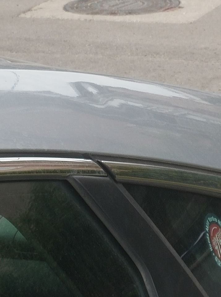 civic-g%C3%B6%C3%A7%C3%BCk-3.jpg