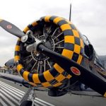 2.dC3BCnyasavaC59FC4B1radyalmotor