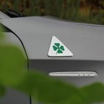 quadrifoglio-verde-4-yapraklC4B1-yonca-tarihi